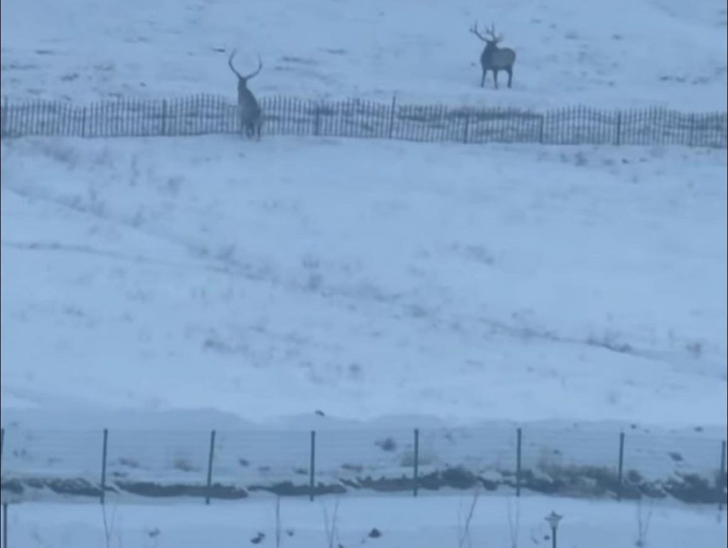 e5ze0l_623409187_1221770116721995_1049762819732059783_n_x974