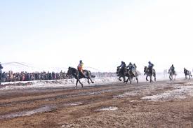 images - 2026-01-15T001346.006