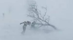 images - 2026-01-15T215927.239