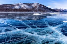 images - 2026-01-23T004150.296