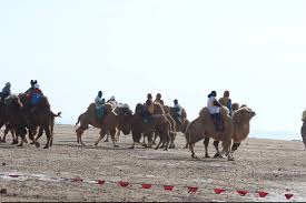 images - 2026-01-26T221051.420