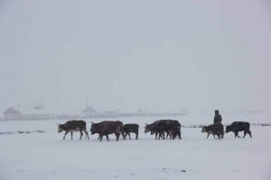 qHNLjxpptDSgbECuWuvuljilt