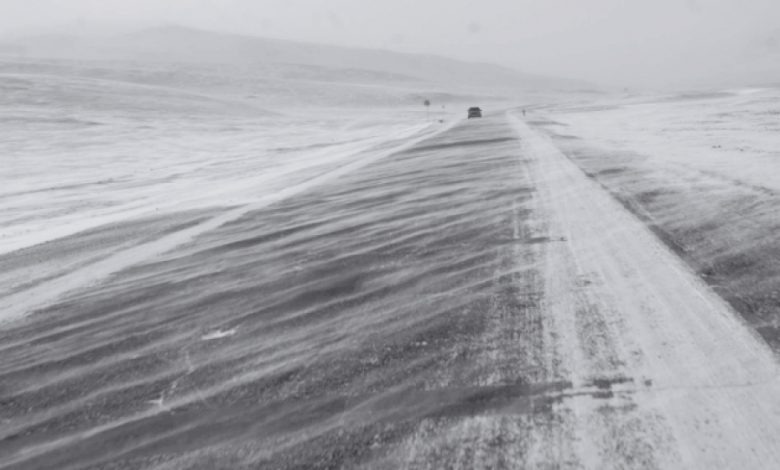 tsasan-shuurga-1-1-780x470