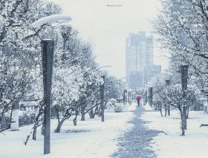 Цас_Улаанбаатар