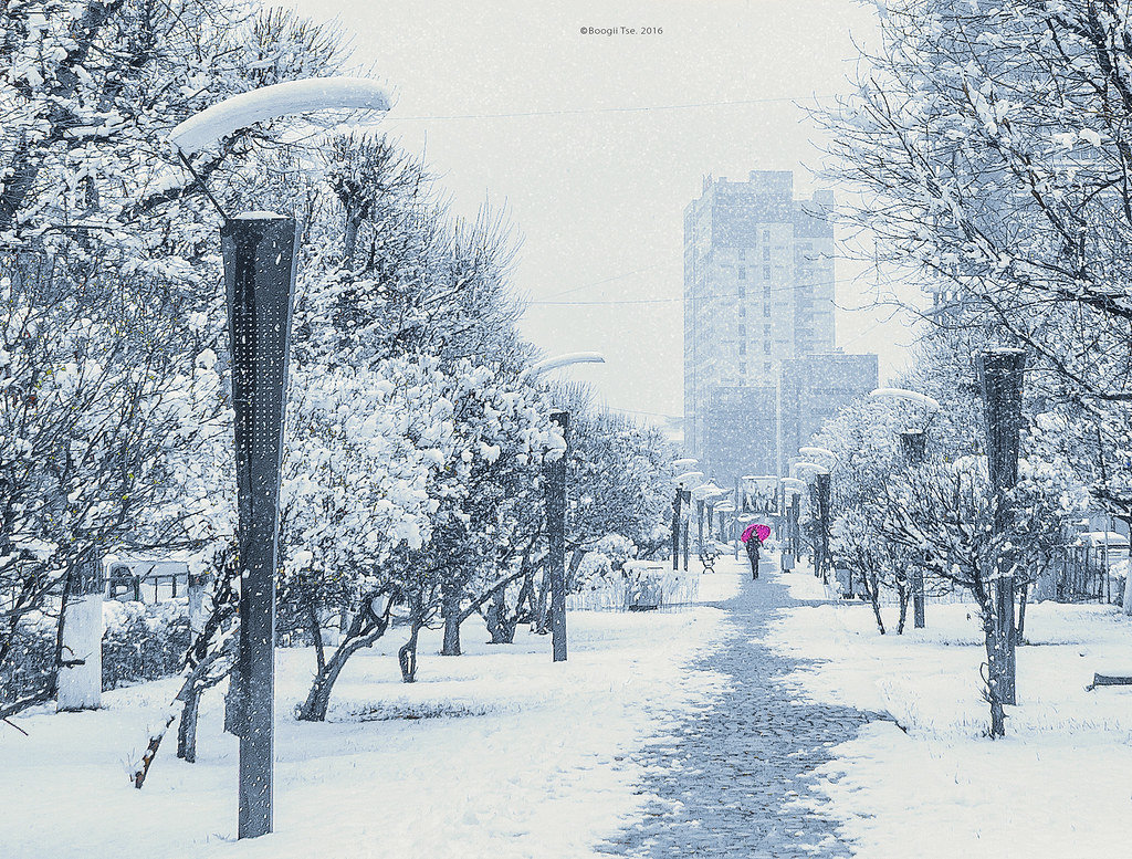 Цас_Улаанбаатар