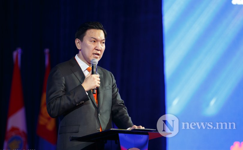 20260227-ORG_1495-810x500