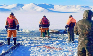 c6bd0546f67b6ffaaabd74c68198175e