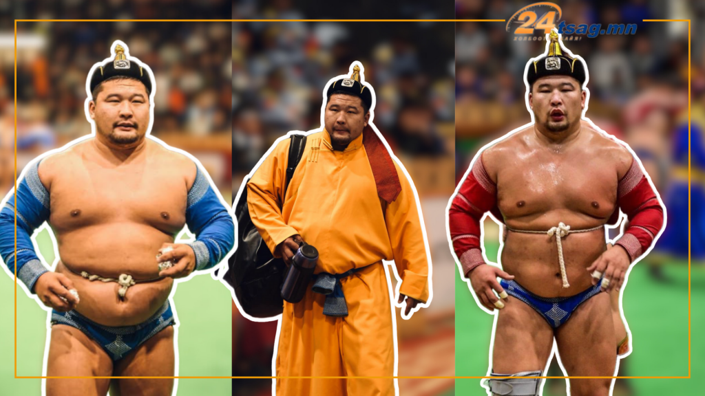 Аваргуудыг залгамжлах Д.Алтанцоож арслангийн тухай 10 баримт (1)