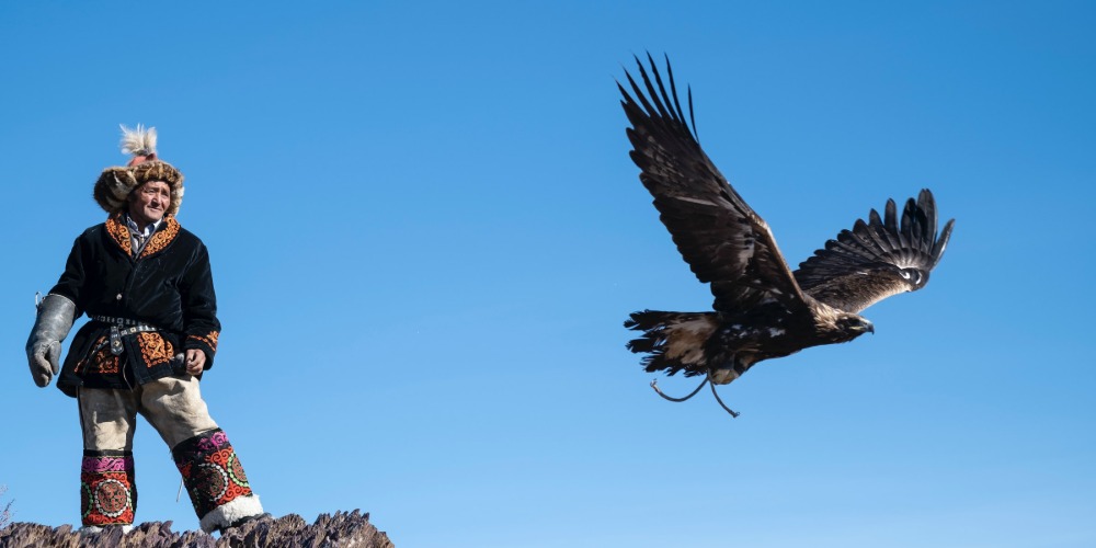 0e5b1339d138b2f21b0fedd7f789b2a54add6a2e