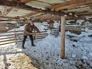 1_diPYaI4OelgmBoqBFu0XOw