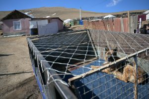 69c221f50e1ea02d0ac504b8