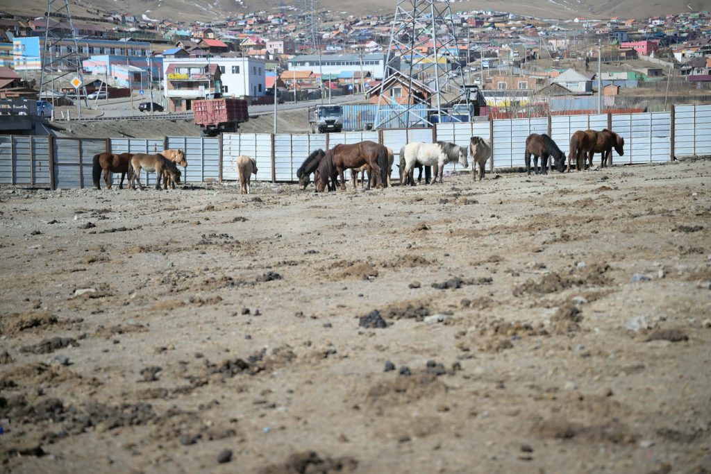 69c344a80e1ea02d0ac504c7