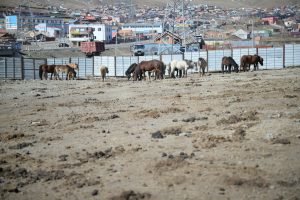 69c344a80e1ea02d0ac504c7