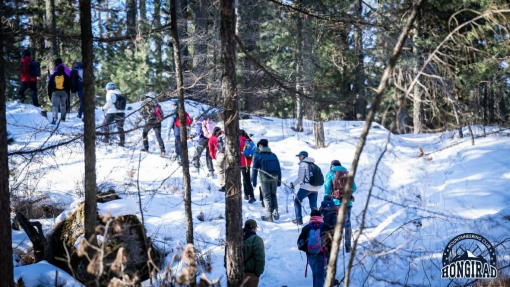 auj7uk_86a2fc81-1847-4892-8861-b9c1b90b70a6_x974