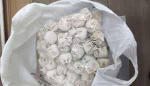 c95968103700c2d6829e8e95369c8e83