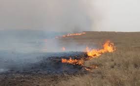 download - 2026-03-25T224559.258