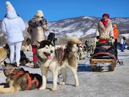 download - 2026-03-25T235107.391