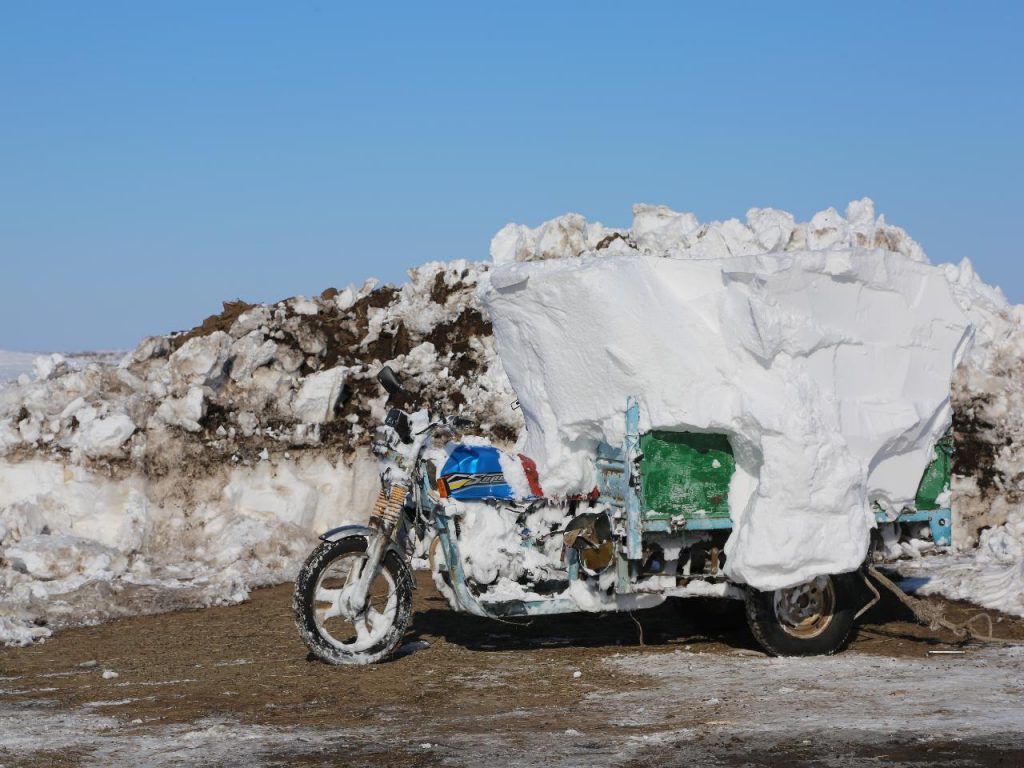 large-69ae3de3299cc549f5ef4d33