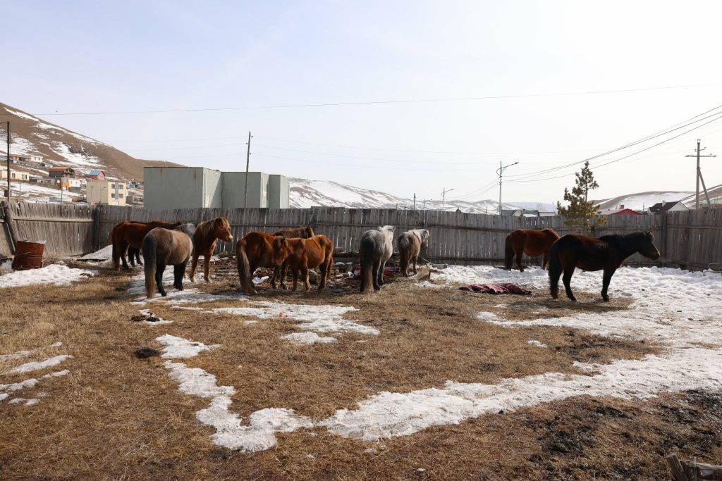 ncBkGbYdbg8CWbJRE4pR