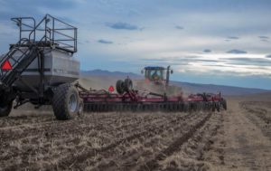 Хаврын тариалалтад зориулж 130 тэрбум төгрөгийн зээл олгоно