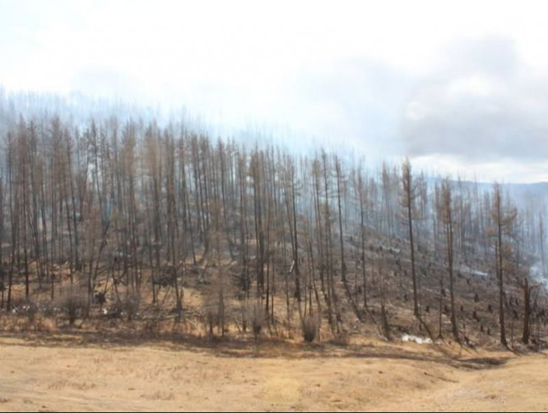 1e85718bcdb6db731f9d50de358ee95d_x3