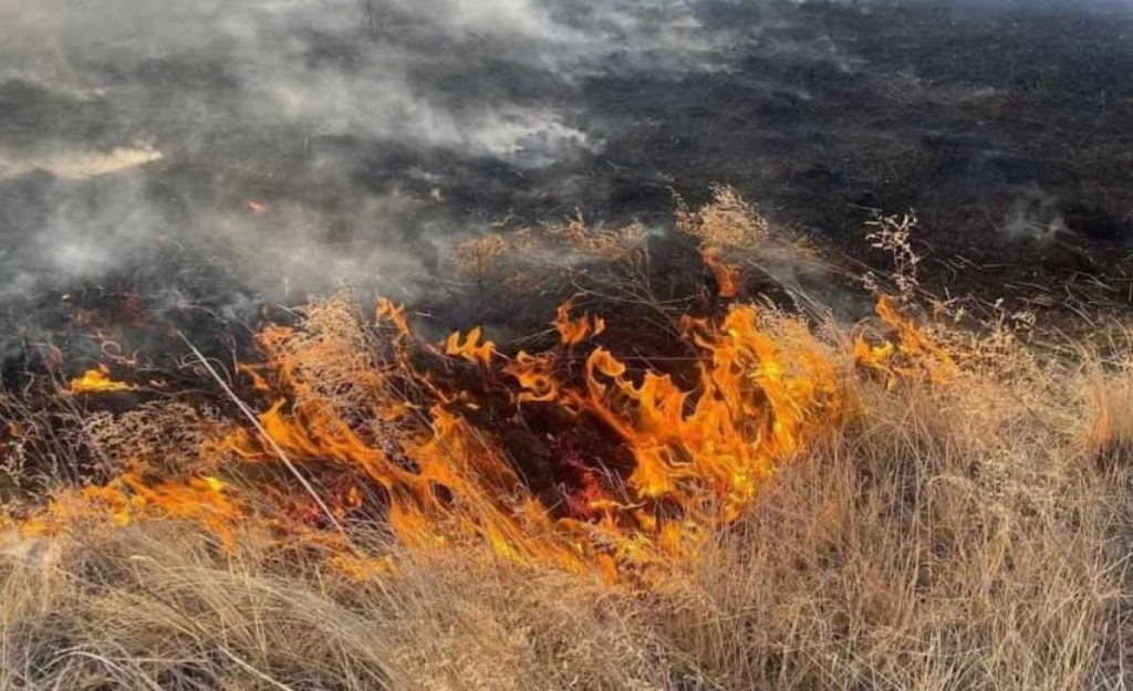 340761388_996128344690795_8169690151527946296_n6435fdcd473c3