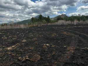 4fdb1ea80e3c400fa9f694cf2eb9cf60_x3