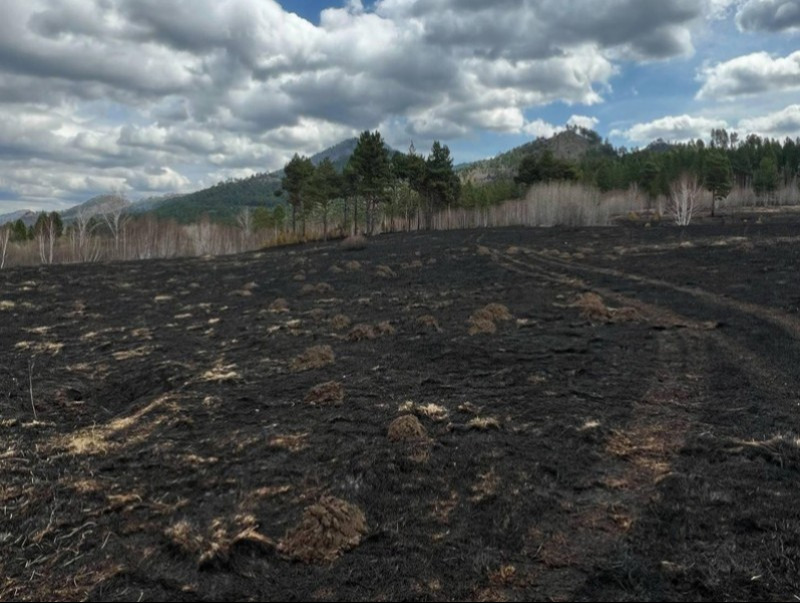 4fdb1ea80e3c400fa9f694cf2eb9cf60_x3