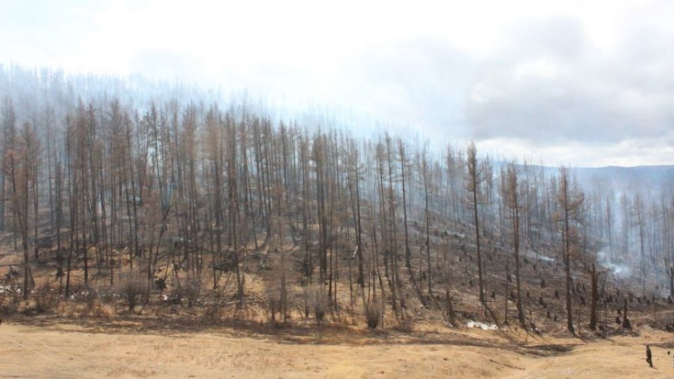 5eabad12a1494-6ziepaqzpxhk8q1zbqudulbxqj3xua3ba6l0edxilog-6znutu4fkchyn849cq9yep1viaq5txzt19oaz2f856o