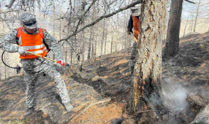 5f94641a9505a48522e28338a3faea96