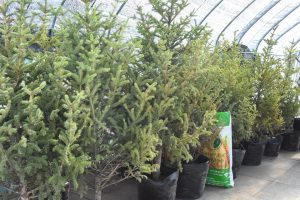 60556233_2664824476881018_3677129219608936448_n