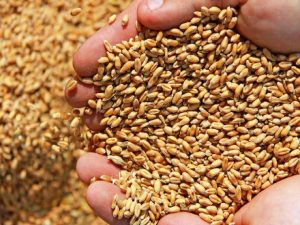 64705a5278a6a4593d74d63b