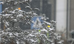 65003-1000-600.2 (1)