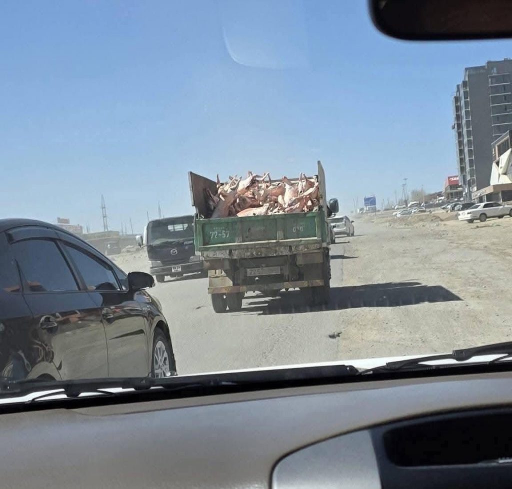 678384730_1268095612151453_5556343975020324359_n