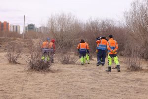 69cf675e0e1ea02d0ac50603