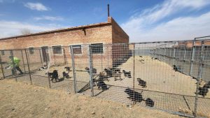 69f19e010e1ea02d0ac5087c