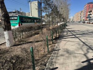 ablen8_69e86e1b0e1ea02d0ac507e7_x974