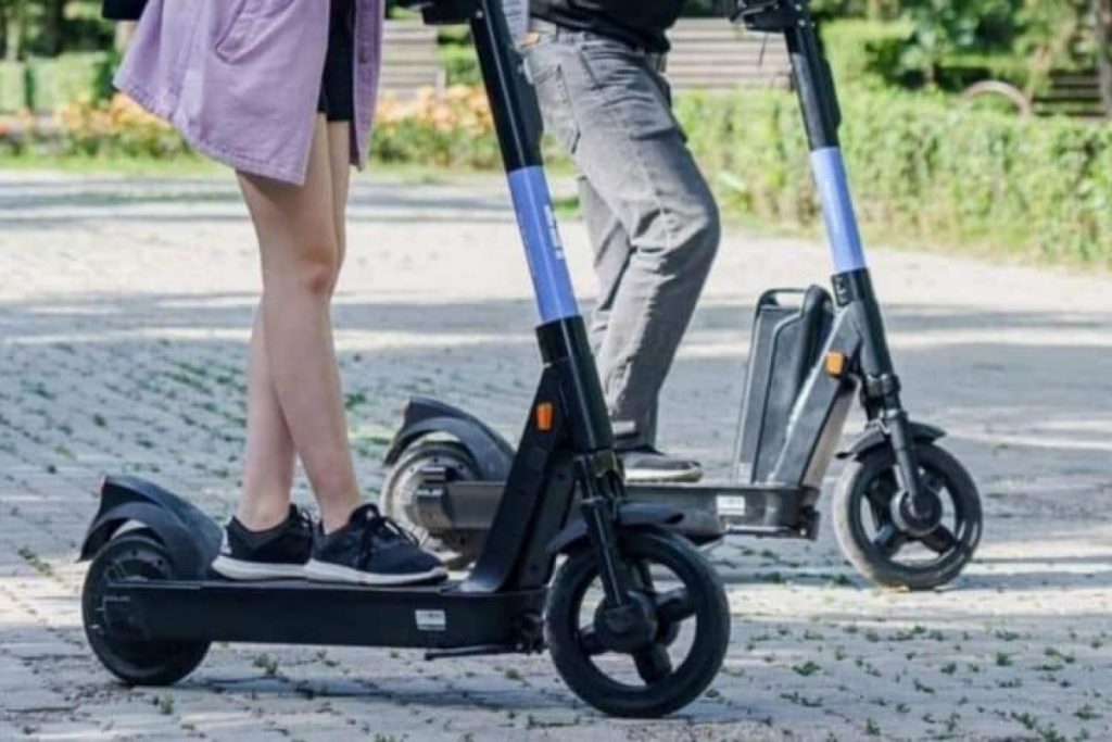 egel-mn-img-17419177433