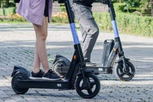 egel-mn-img-17419177433