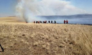 Дорнод аймагт гарсан хээрийн хоёр түймэрт 37 мянган га талбай өртжээ