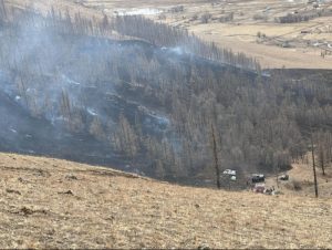 Нийслэлийн ногоон бүсийг “Урамшуулалт эргүүл” хамгаалах нь