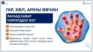 044b2u_656306203_1409681757627574_7702479454162998521_n_x974