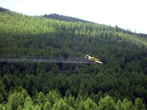 Залаатын болон Хүрэлтогоотын аманд хөнөөлт шавж устгаж эхлэв