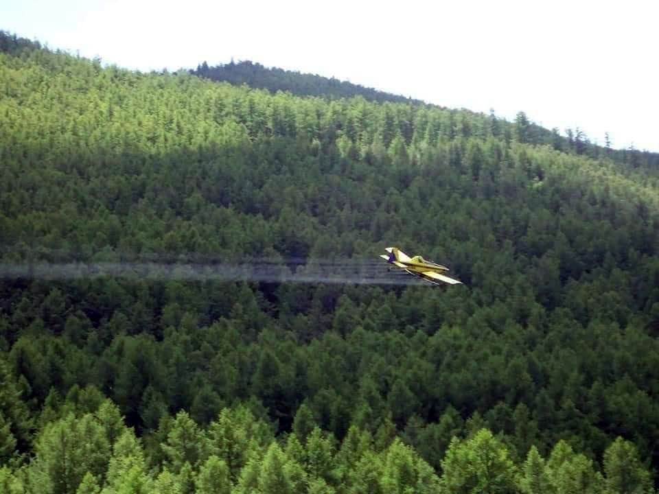 Залаатын болон Хүрэлтогоотын аманд хөнөөлт шавж устгаж эхлэв