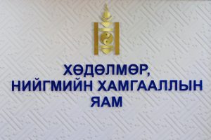 Монгол Улсад мөрдөж буй ажил мэргэжлийн ангилал 2010 оноос хойш шинэчлэгдээгүй байна